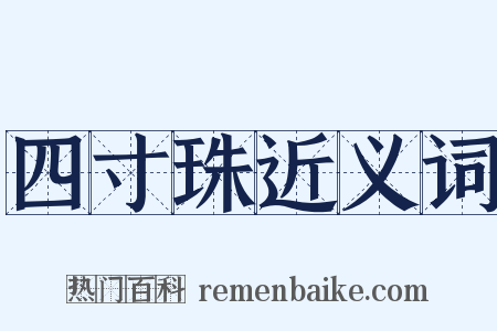四寸珠近义词是什么意思的图片